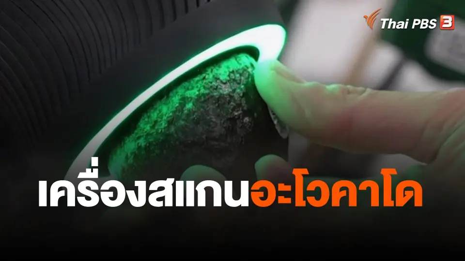 เครื่องสแกนอะโวคาโด