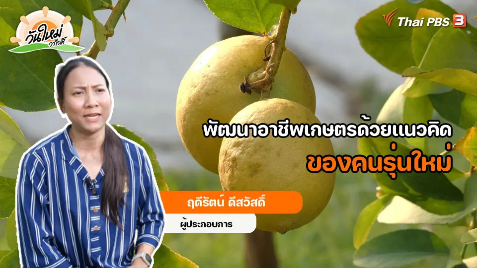 ​พอดีพอเพียง : พัฒนาอาชีพเกษตรด้วยเเนวคิดของคนรุ่นใหม่