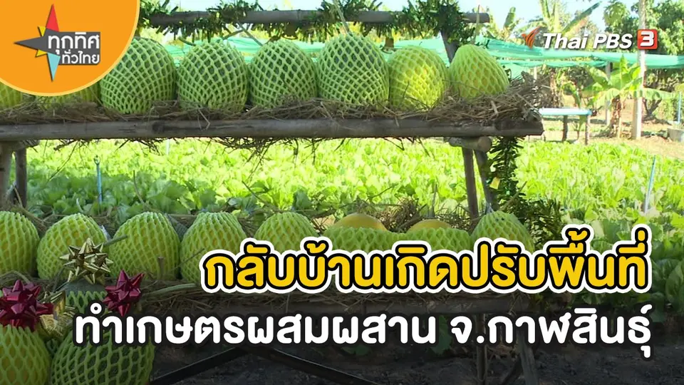 อาชีพทั่วไทย : กลับบ้านเกิดปรับพื้นที่ทำเกษตรผสมผสาน จ.กาฬสินธุ์