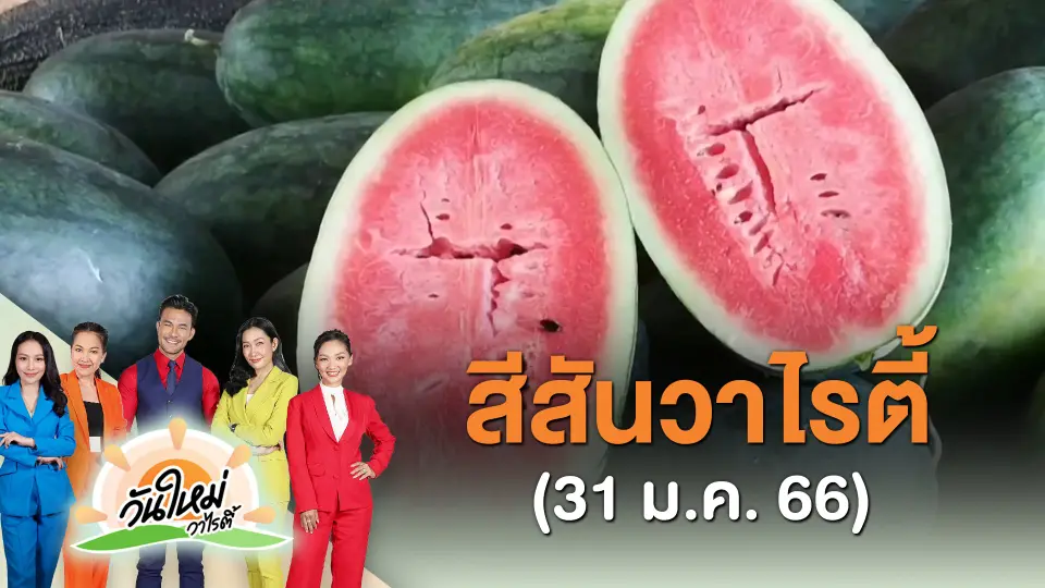 ​สีสันวาไรตี้ (31 ม.ค. 66)