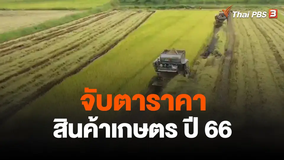 จับสัญญาณเศรษฐกิจ : จับตาราคาสินค้าเกษตร ปี 66