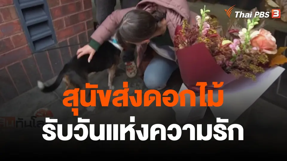 สุนัขส่งดอกไม้รับวันแห่งความรัก