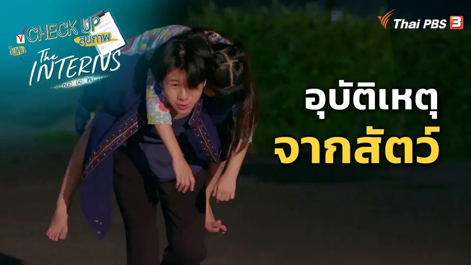 ​CHECK UP สุขภาพ : อุบัติเหตุจากสัตว์