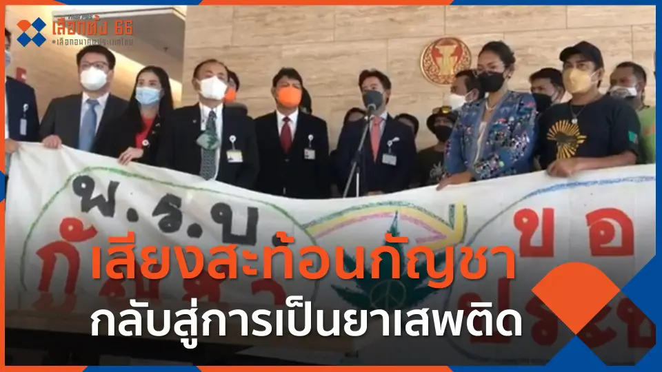 เสียงสะท้อนกัญชากลับสู่การเป็นยาเสพติด