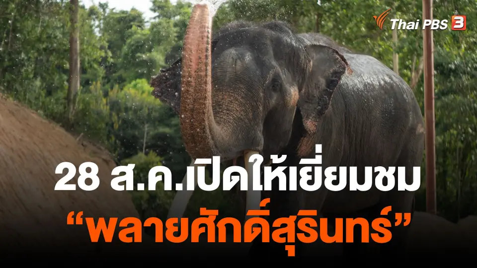 28 ส.ค.เปิดให้เยี่ยมชม "พลายศักดิ์สุรินทร์"