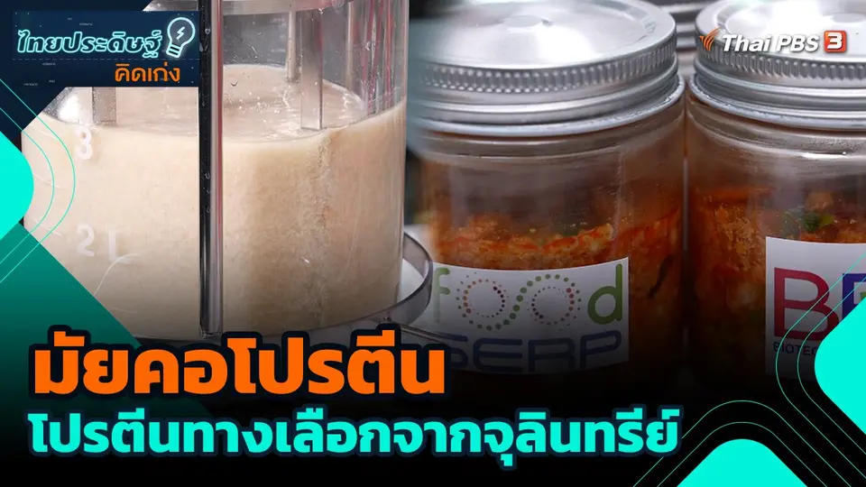 มัยคอโปรตีน โปรตีนทางเลือกจากจุลินทรีย์