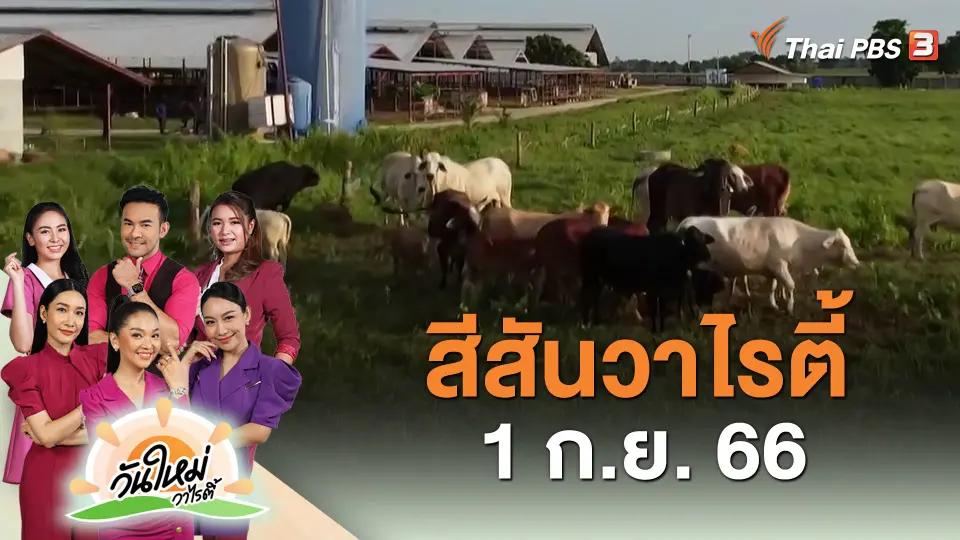สีสันวาไรตี้ (1 ก.ย. 66)
