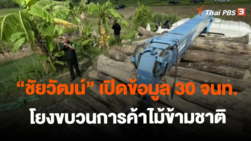 ​"ชัยวัฒน์" เปิดข้อมูล 30 จนท.โยงขบวนการค้าไม้ข้ามชาติ