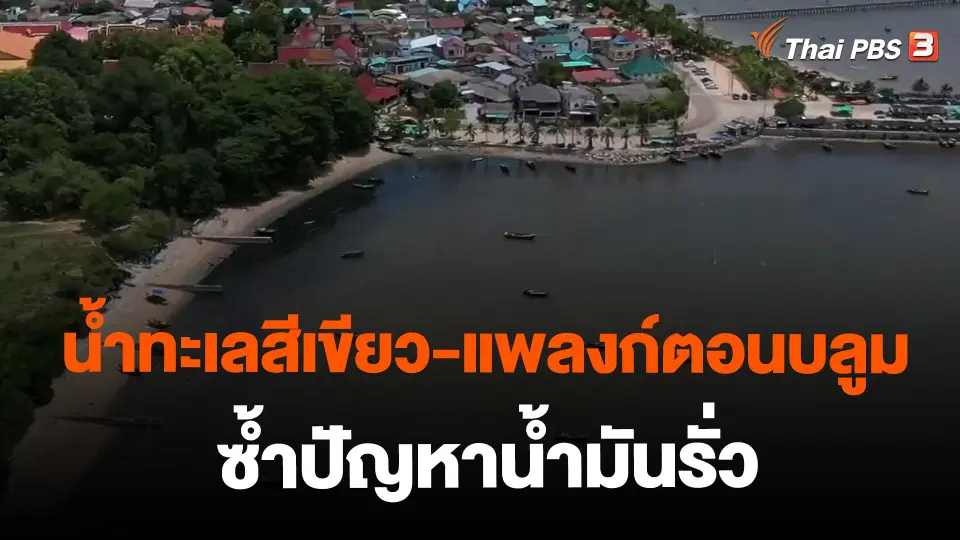 ​น้ำทะเลสีเขียว-แพลงก์ตอนบลูม ซ้ำปัญหาน้ำมันรั่ว