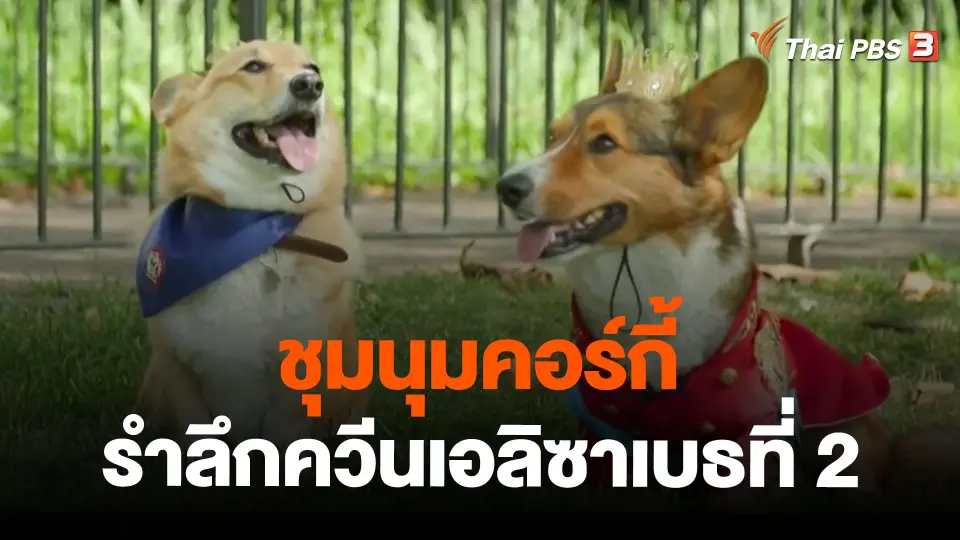 ชุมนุมคอร์กี้รำลึกควีนเอลิซาเบธที่ 2