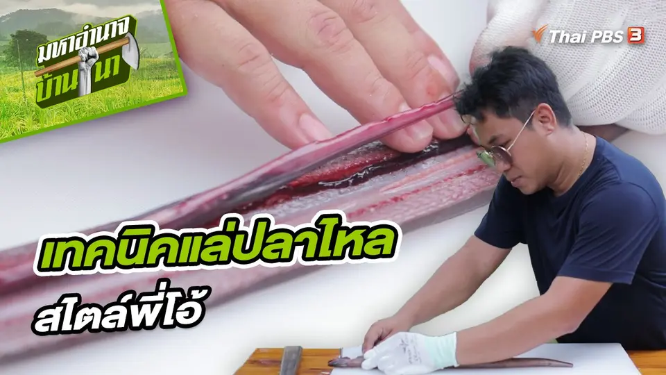 สูตรลับฉบับบ้านนา : เทคนิคการแล่ปลาไหลสไตล์พี่โอ้