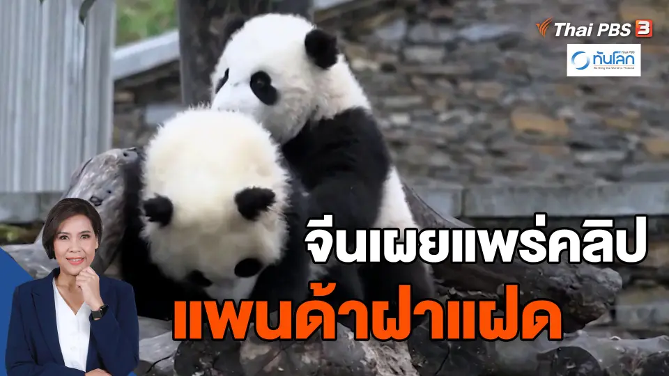 ​จีนเผยแพร่คลิปแพนด้าฝาแฝด