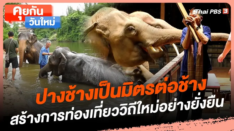 คุยกันวันใหม่ : ปางช้างเป็นมิตรต่อช้าง สร้างการท่องเที่ยววิถีใหม่อย่างยั่งยืน