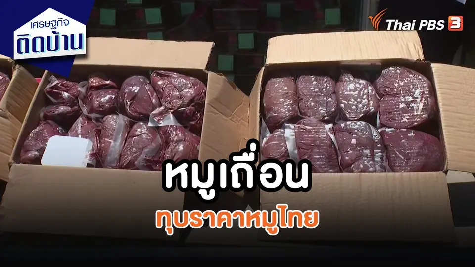 ​เศรษฐกิจน่ารู้ : หมูเถื่อน ทุบราคาหมูไทย