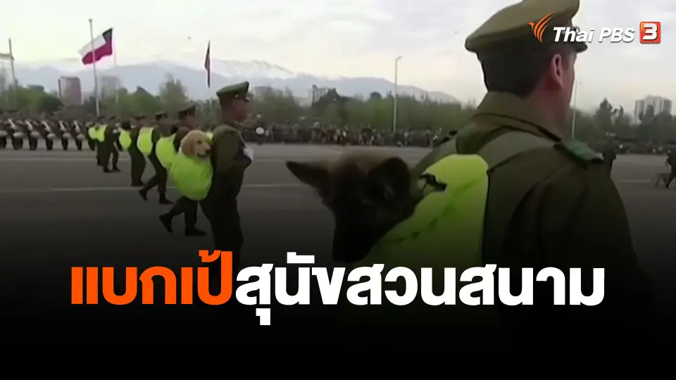 ​แบกเป้สุนัขสวนสนาม