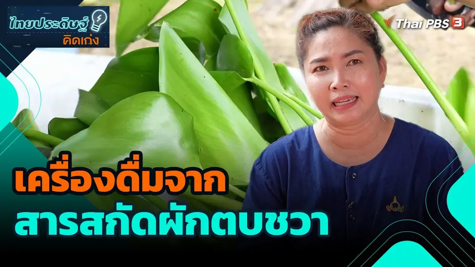 ​ไทยประดิษฐ์คิดเก่ง : เครื่องดื่มจากสารสกัดผักตบชวา