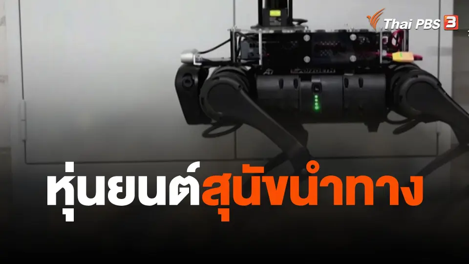 หุ่นยนต์สุนัขนำทาง