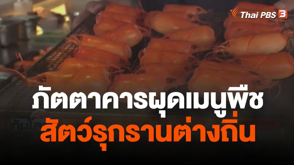 ภัตตาคารผุดเมนูพืช - สัตว์รุกรานต่างถิ่น