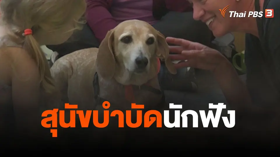 สุนัขบำบัดนักฟัง
