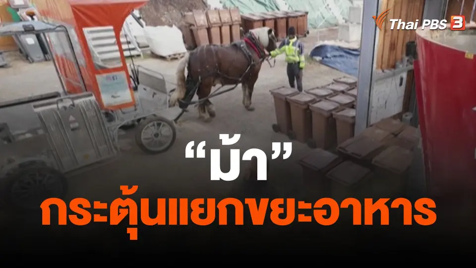 "ม้า" กระตุ้นแยกขยะอาหาร