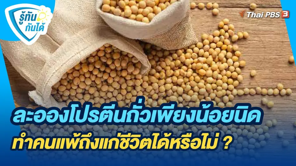 ​รู้ทันกันได้ : ละอองโปรตีนถั่วเพียงน้อยนิด ทำคนแพ้ถึงแก่ชีวิตได้หรือไม่ ?