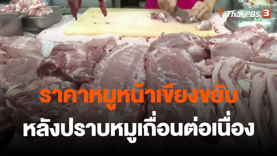​จับสัญญาณเศรษฐกิจ : ราคาหมูหน้าเขียงขยับ หลังปราบหมูเถื่อนต่อเนื่อง