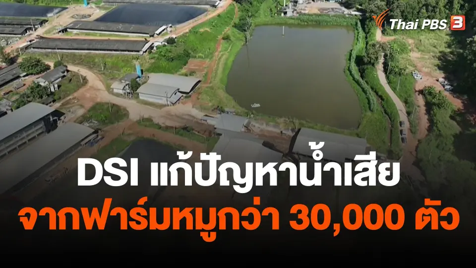 สถานีร้องเรียน : DSI แก้ปัญหาน้ำเสียจากฟาร์มหมูกว่า 30,000 ตัว อ.แม่แตง จ.เชียงใหม่