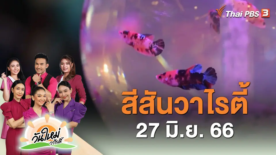 สีสันวาไรตี้ (27 มิ.ย. 66)