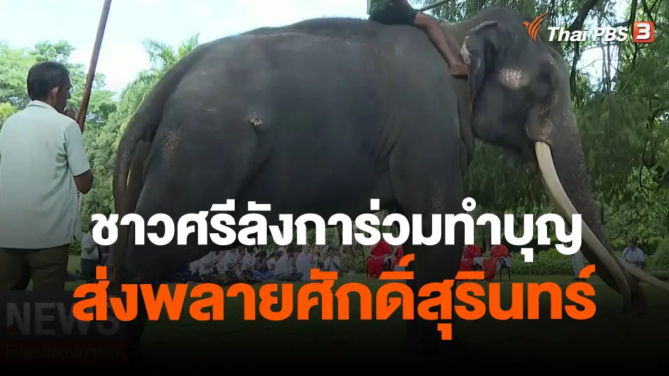 ​ชาวศรีลังการ่วมทำบุญส่งพลายศักดิ์สุรินทร์