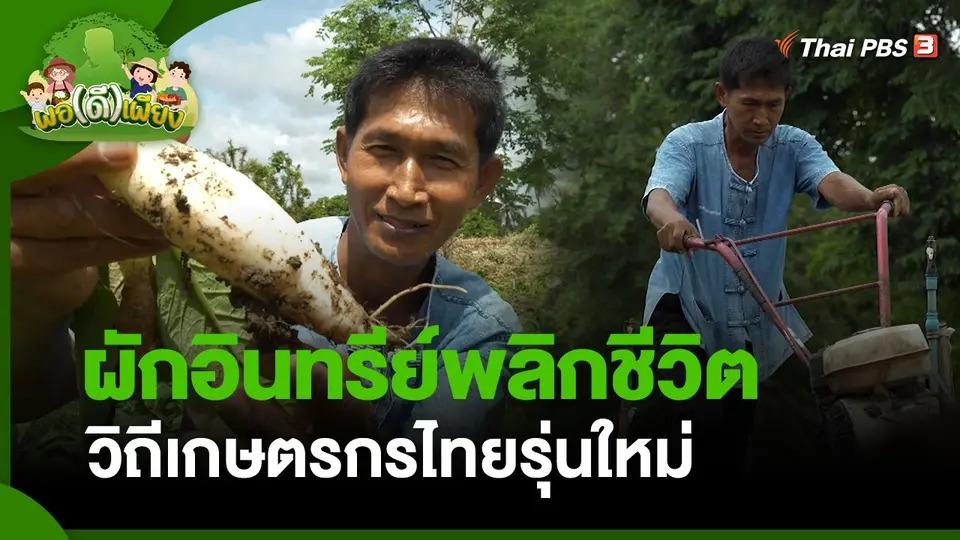 พอดีพอเพียง : ผักอินทรีย์พลิกชีวิต วิถีเกษตรกรไทยรุ่นใหม่