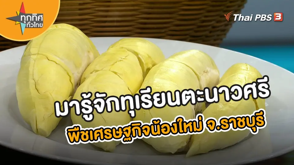 ​อาชีพทั่วไทย : มารู้จักทุเรียนตะนาวศรี พืชเศรษฐกิจน้องใหม่ จ.ราชบุรี