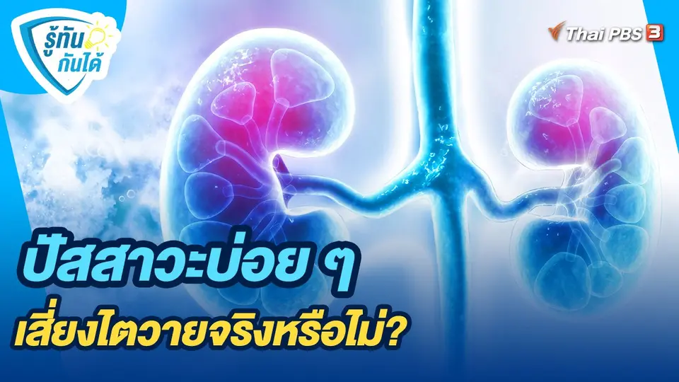 ปัสสาวะบ่อย ๆ เสี่ยงไตวายจริงหรือไม่?