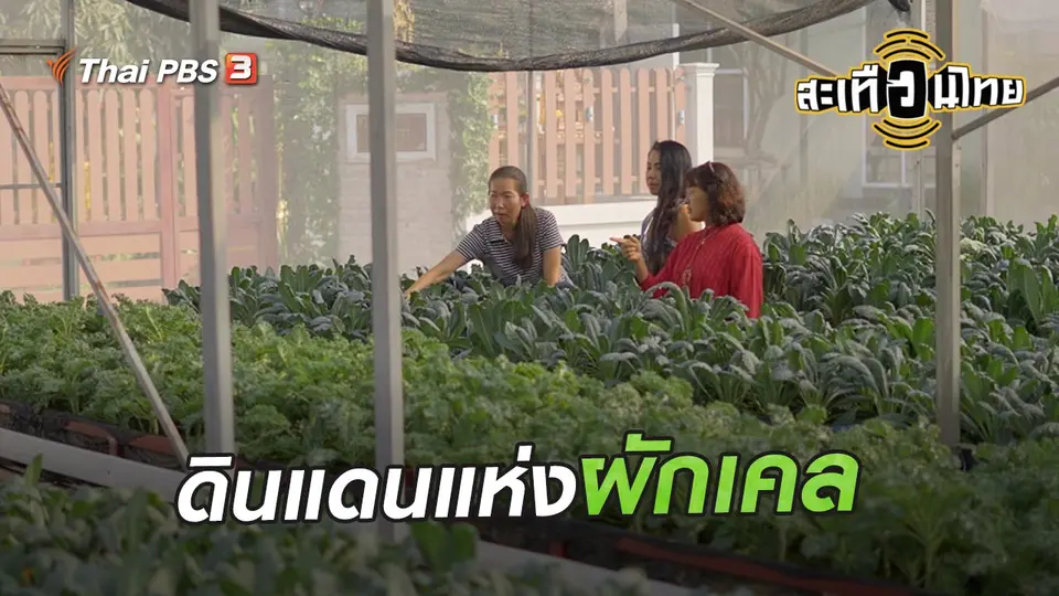 ​นักสร้างความเปลี่ยนแปลง : ดินแดนแห่งผักเคล