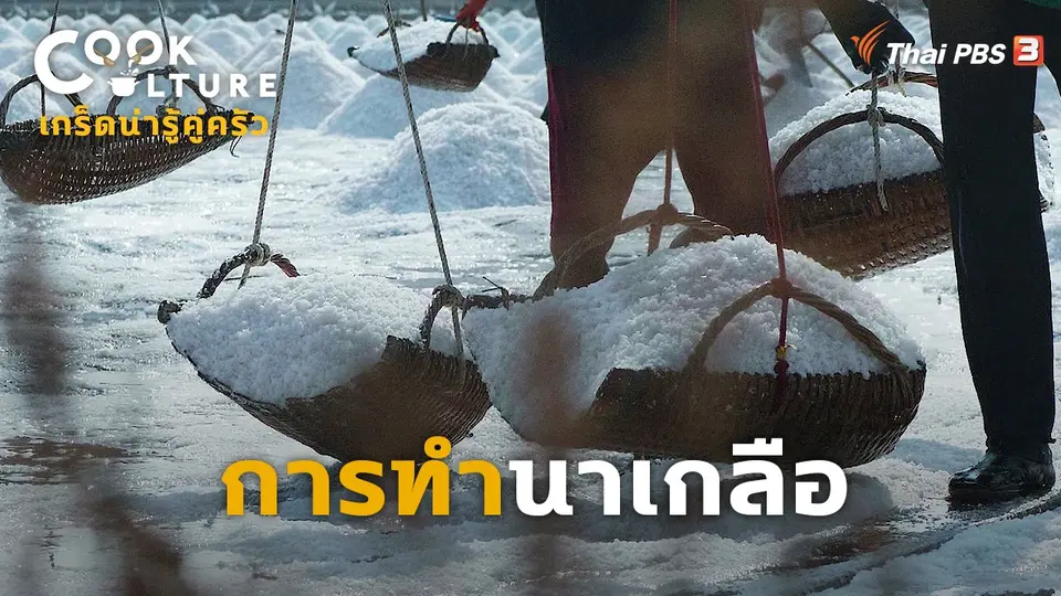 ​เกร็ดน่ารู้คู่ครัว : การทำนาเกลือ