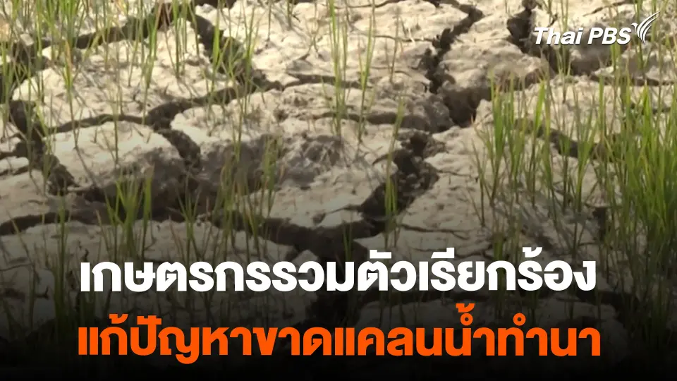 เกษตรกรรวมตัวเรียกร้อง แก้ปัญหาขาดแคลนน้ำทำนา | ข่าวค่ำมิติใหม่ | 19 ก.พ. 67