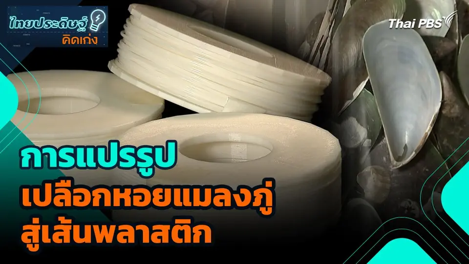 ไทยประดิษฐ์คิดเก่ง : การแปรรูปเปลือกหอยแมลงภู่สู่เส้นพลาสติก