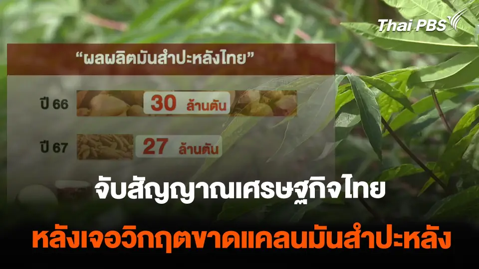 จับสัญญาณเศรษฐกิจไทย หลังเจอวิกฤตขาดแคลนมันสำปะหลัง