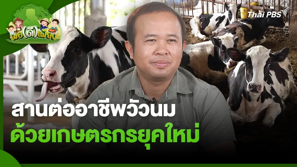 พอดีพอเพียง : สานต่ออาชีพวัวนม ด้วยเกษตรกรยุคใหม่