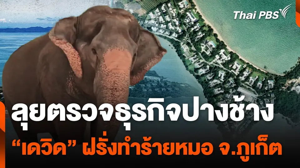 ลุยตรวจธุรกิจปางช้าง “เดวิด” ฝรั่งทำร้ายหมอ จ.ภูเก็ต