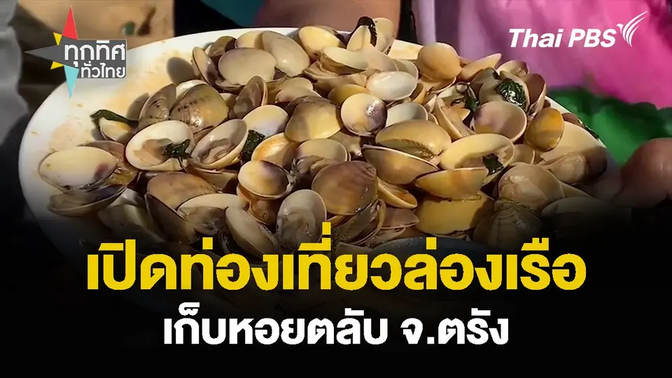 เปิดท่องเที่ยวล่องเรือ เก็บหอยตลับ จ.ตรัง