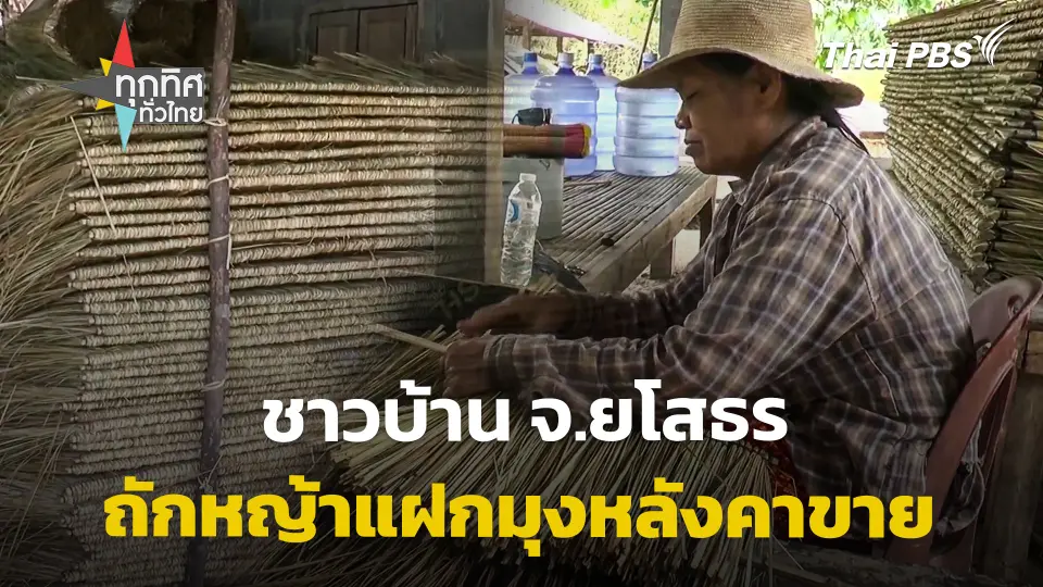 ชาวบ้าน จ.ยโสธร ถักหญ้าแฝกมุงหลังคาขาย