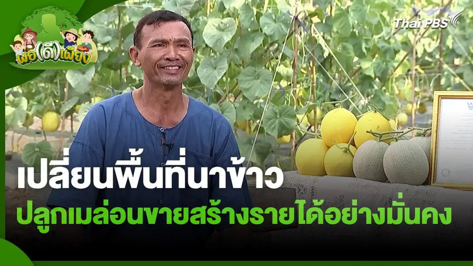 พอดีพอเพียง : เปลี่ยนพื้นที่นาข้าว ปลูกเมล่อนขายสร้างรายได้อย่างมั่นคง