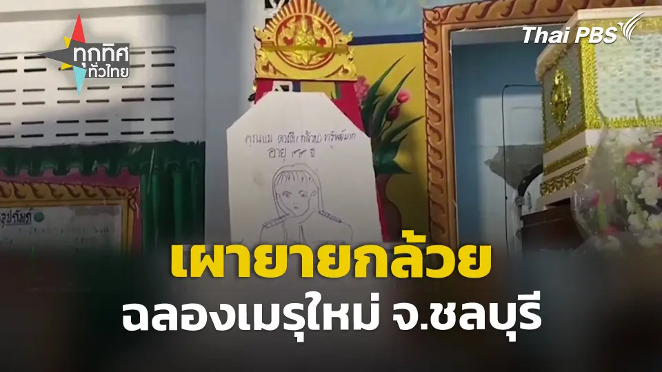 เผายายกล้วย ฉลองเมรุใหม่ จ.ชลบุรี