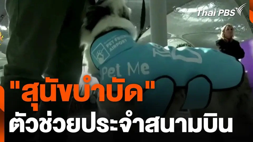 สุนัขบำบัด ประจำสนามบิน l สีสันทันโลก.mp4