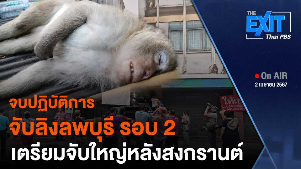 จบปฏิบัติการจับลิงลพบุรี รอบ 2 เตรียมจับใหญ่หลังสงกรานต์