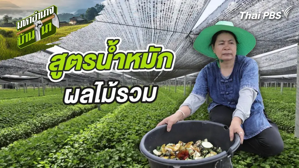สูตรลับฉบับบ้านนา : น้ำหมักผลไม้รวม