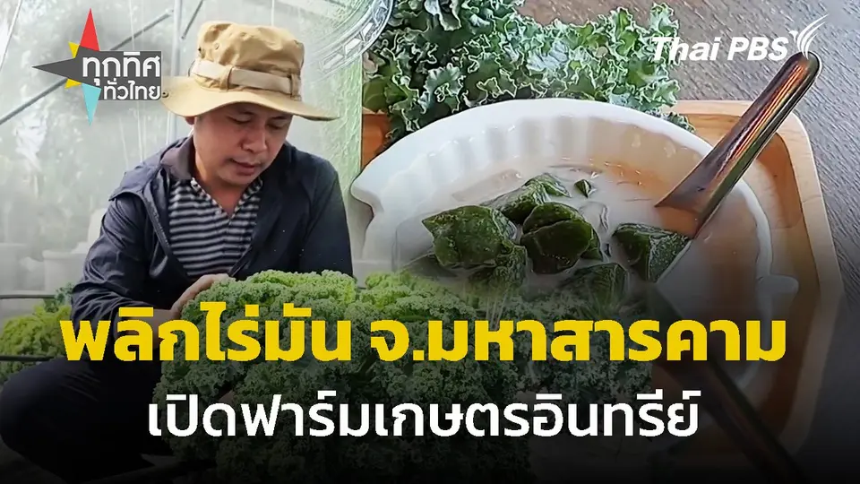 ​พลิกไร่มันเปิดฟาร์มเกษตรอินทรีย์ จ.มหาสารคาม