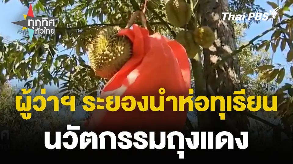 ผู้ว่าฯ ระยองนำห่อทุเรียน นวัตกรรมถุงแดง