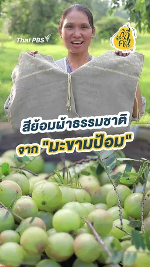 สีย้อมผ้าธรรมชาติ จากมะขามป้อม