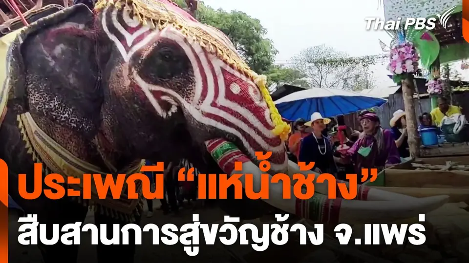"แห่น้ำช้าง" สืบสานการสู่ขวัญช้าง จ.แพร่
